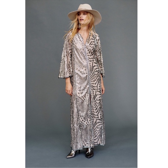 Anna Sui Silver Maxi Dress - Picture 3 of 9